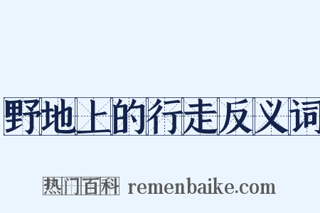 野地上的行走反义词是什么意思的图片